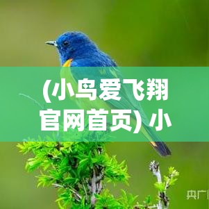 (小鸟爱飞翔官网首页) 小鸟爱飞翔：探索自由之翼与天空的无限可能"——解析鸟类飞行的科学与艺术