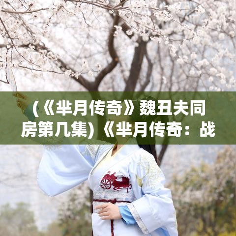 (《芈月传奇》魏丑夫同房第几集) 《芈月传奇：战国记》——揭秘芈月的智谋与权谋，战国风云再起的背后故事